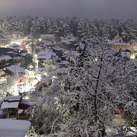 Ambika Bliss Panzió Manāli Kültér fotó